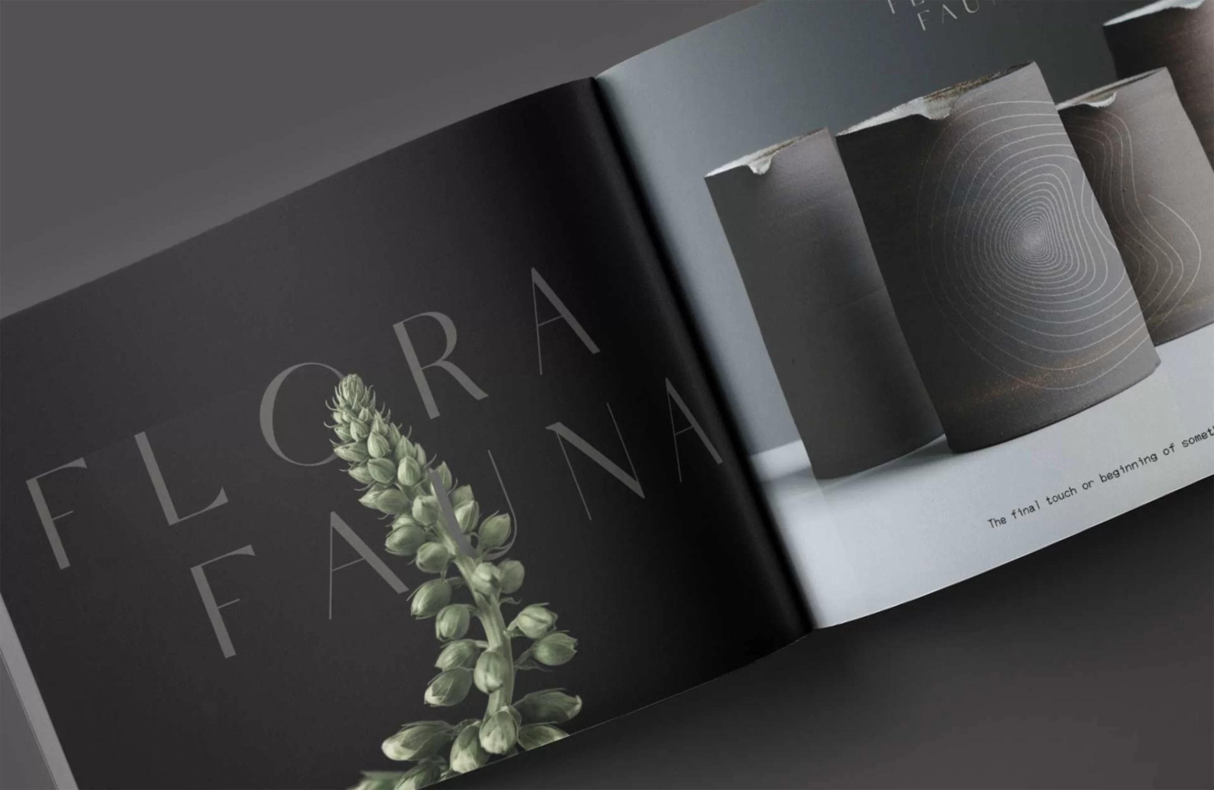 brochure design for Flora Fauna